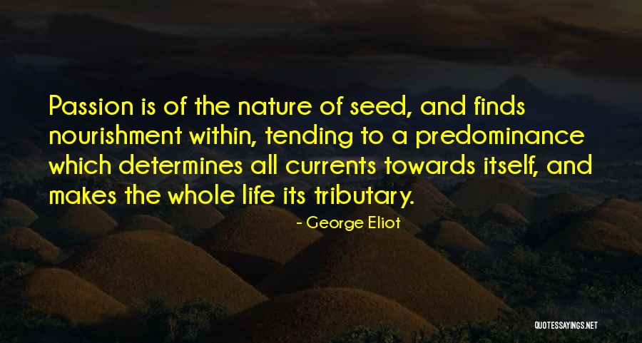 Czarny Bez Quotes By George Eliot Czarny Bez Quotes By George Eliot