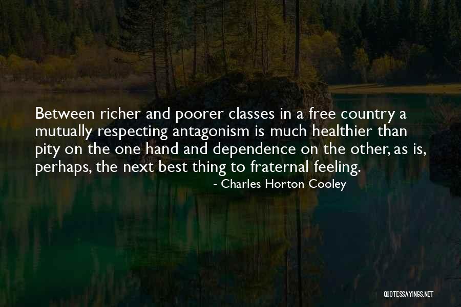 Czibula Katalin Quotes By Charles Horton Cooley Czibula Katalin Quotes By Charles Horton Cooley