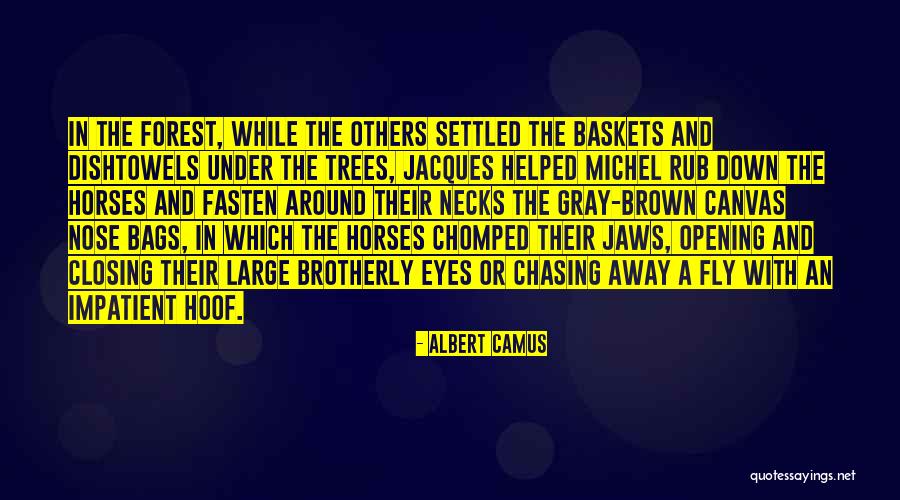 Czyan Quotes By Albert Camus Czyan Quotes By Albert Camus