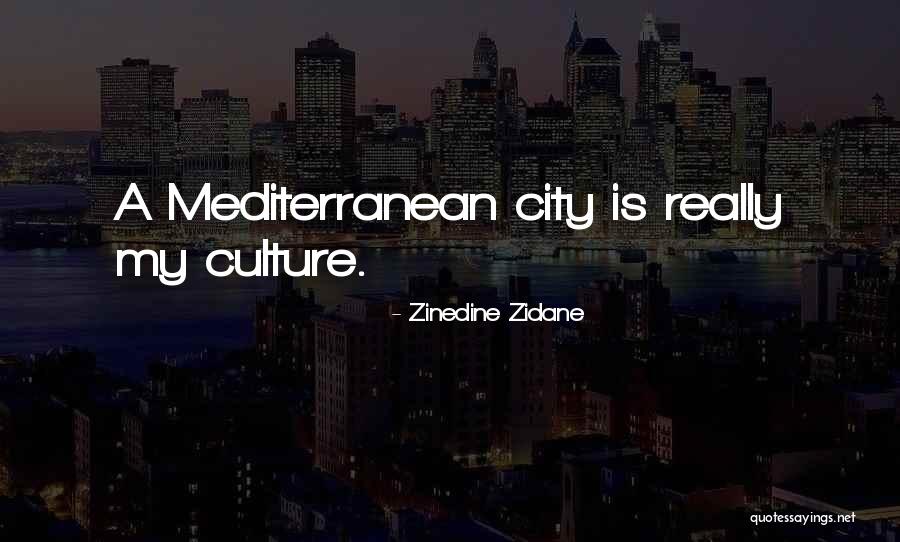 Czytania Mszalne Quotes By Zinedine Zidane Czytania Mszalne Quotes By Zinedine Zidane