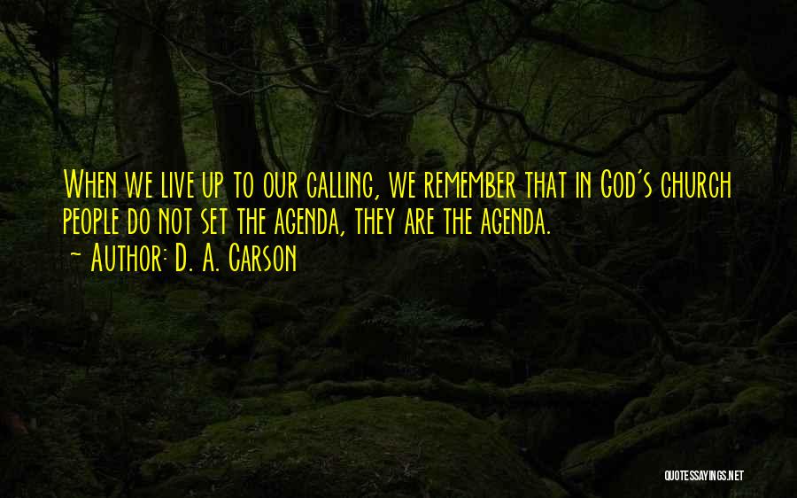 D. A. Carson Quotes 2206352