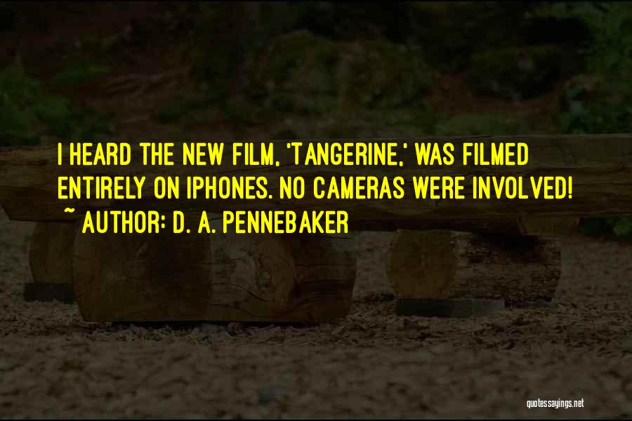 D. A. Pennebaker Quotes 1041862