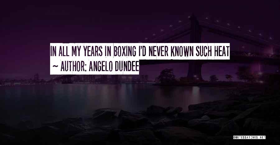 D Angelo Quotes By Angelo Dundee