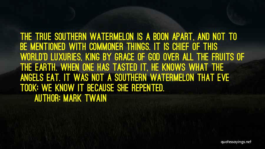 D Boon Quotes By Mark Twain