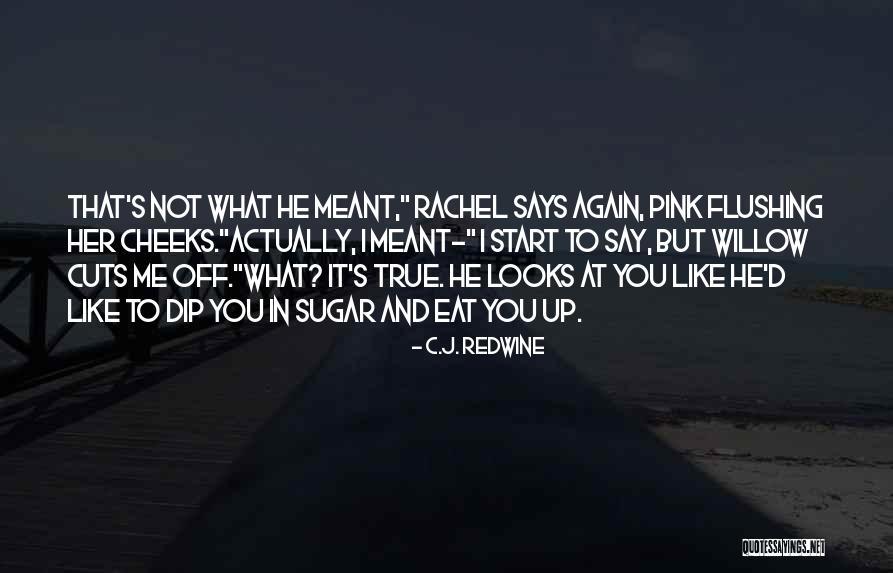 D.c Quotes By C.J. Redwine