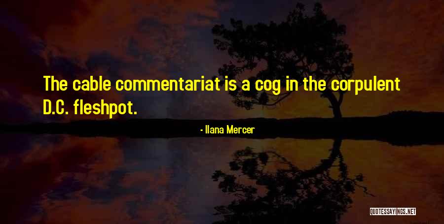 D.c Quotes By Ilana Mercer