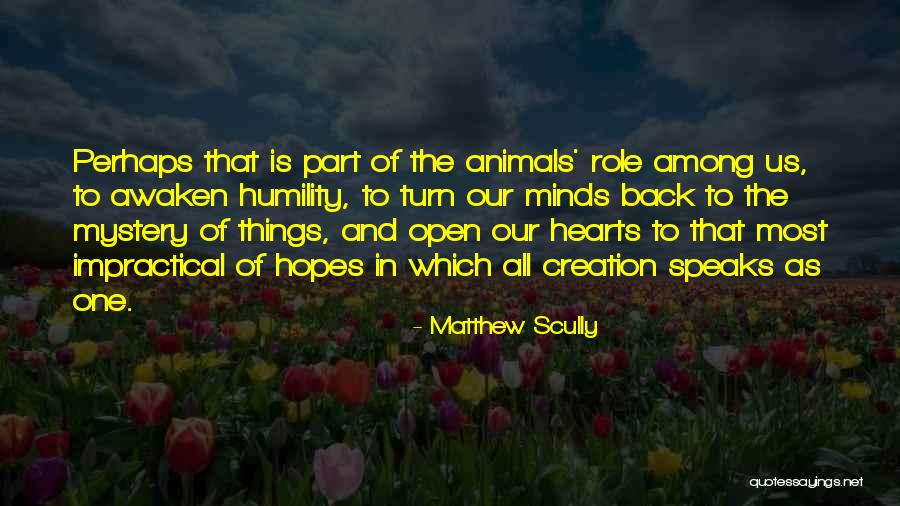 D Celer Synonyme Quotes By Matthew Scully D Celer Synonyme Quotes By Matthew Scully