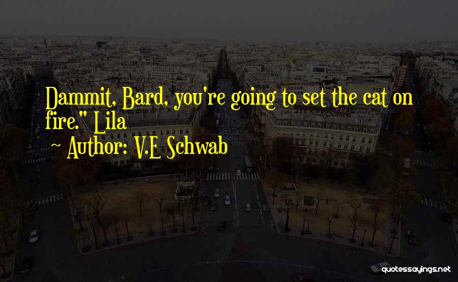 D&d Bard Quotes By V.E Schwab