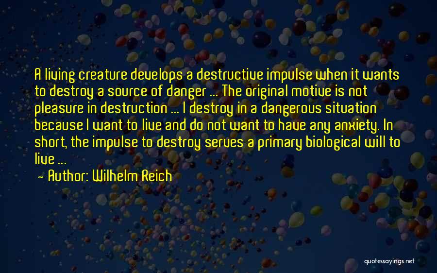 D-day Primary Source Quotes By Wilhelm Reich