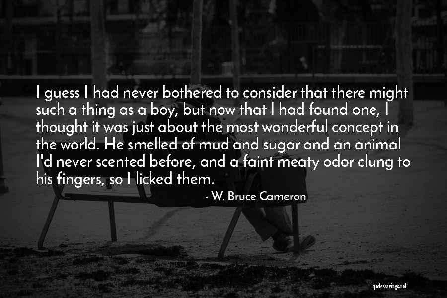 D-fens Quotes By W. Bruce Cameron