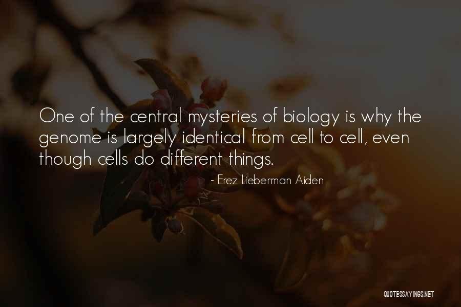 D P Wholesale Company Quotes By Erez Lieberman Aiden D P Wholesale Company Quotes By Erez Lieberman Aiden