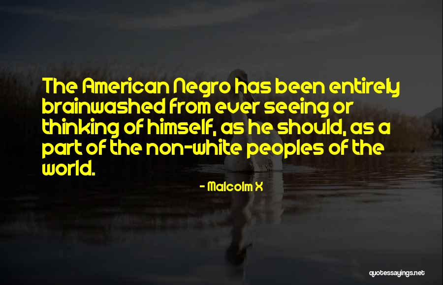 D Put S Assembl E Nationale Quotes By Malcolm X D Put S Assembl E Nationale Quotes By Malcolm X