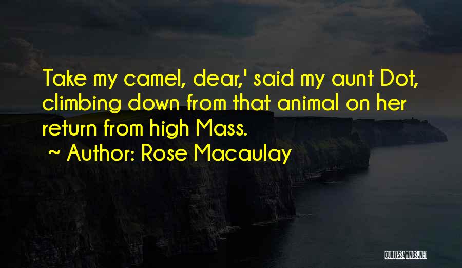 D Rose The Return Quotes By Rose Macaulay