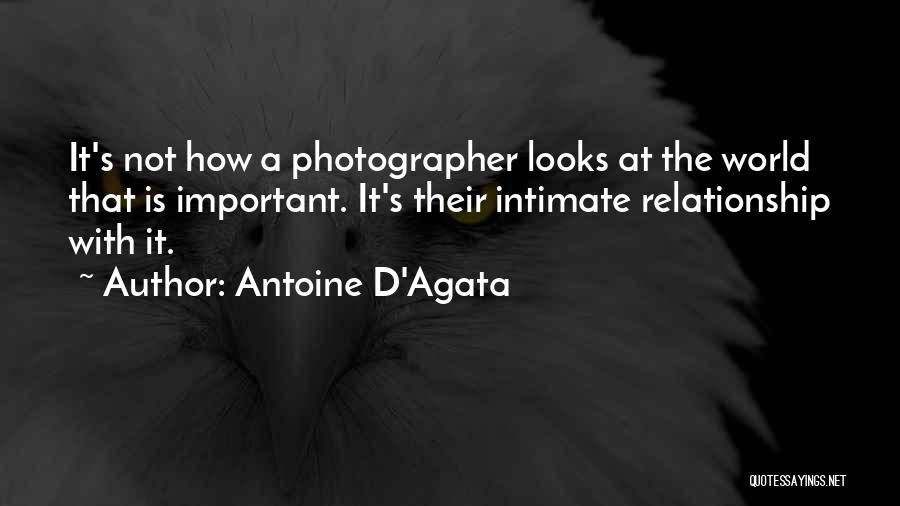 D/s Relationships Quotes By Antoine D'Agata