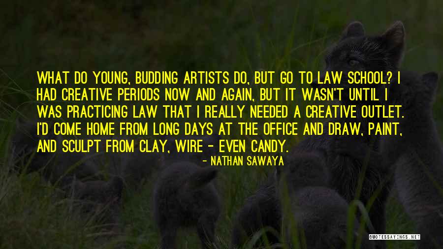 D School Quotes By Nathan Sawaya D School Quotes By Nathan Sawaya