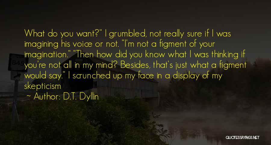 D.T. Dyllin Quotes 1725423