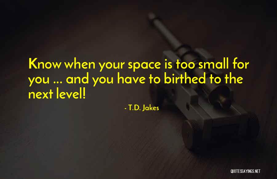 D&t Quotes By T.D. Jakes