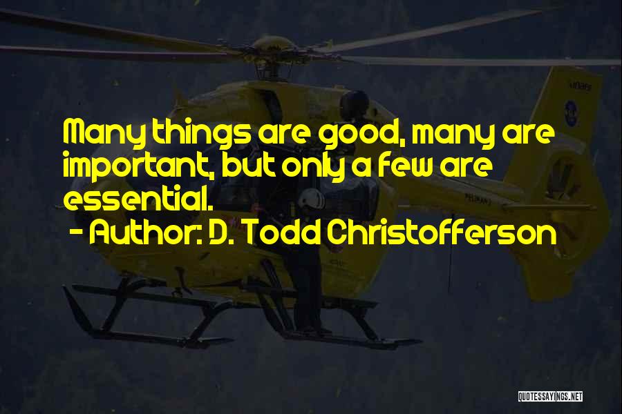 D. Todd Christofferson Quotes 603092