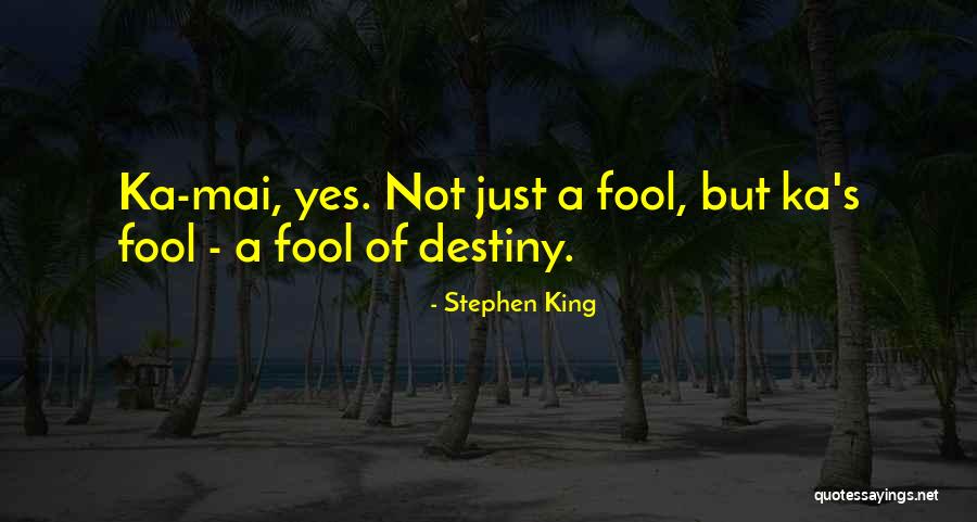 D Velopper Une Quotes By Stephen King