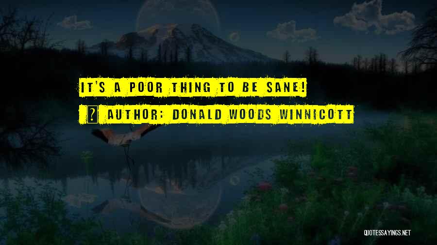 D. Winnicott Quotes By Donald Woods Winnicott