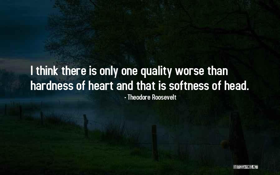 Dabangg Movie Quotes By Theodore Roosevelt Dabangg Movie Quotes By Theodore Roosevelt