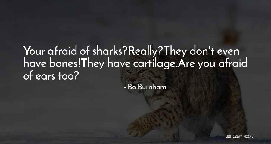 Dabner Maupin Quotes By Bo Burnham Dabner Maupin Quotes By Bo Burnham