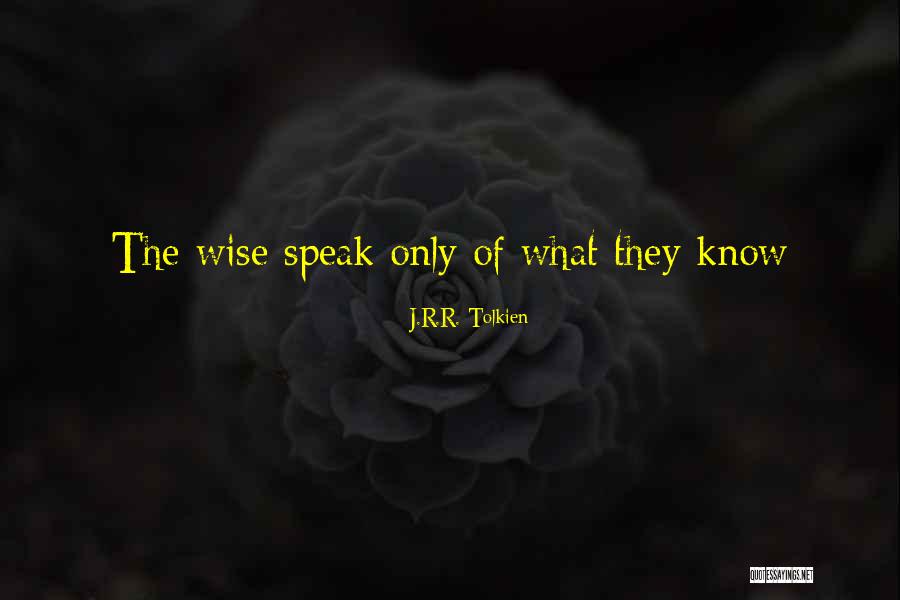 Dabrin Pattern Quotes By J.R.R. Tolkien