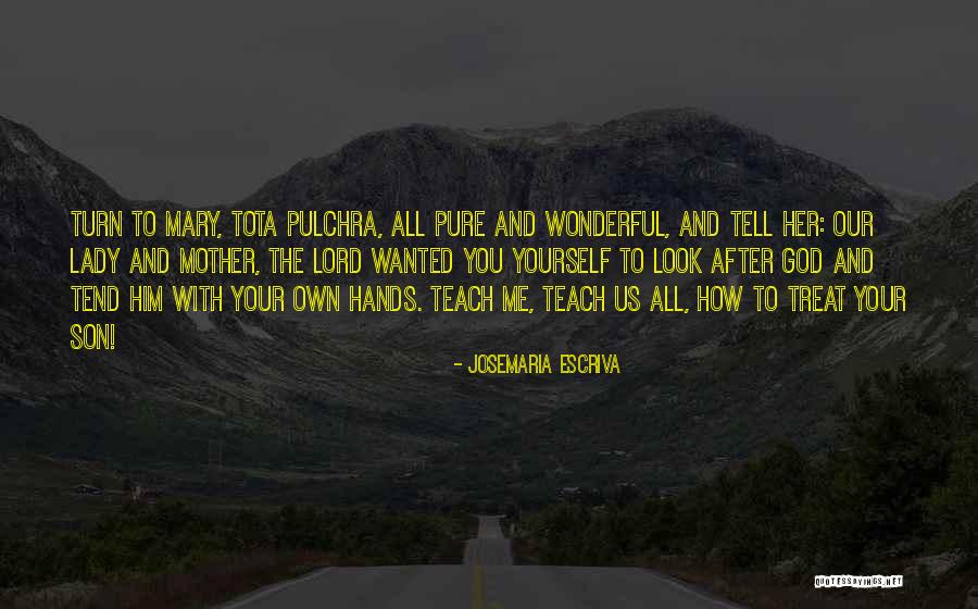 Daccia Quotes By Josemaria Escriva Daccia Quotes By Josemaria Escriva