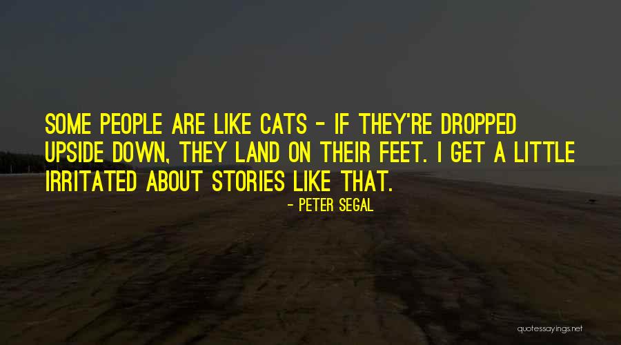 Daceys Taphouse Quotes By Peter Segal Daceys Taphouse Quotes By Peter Segal