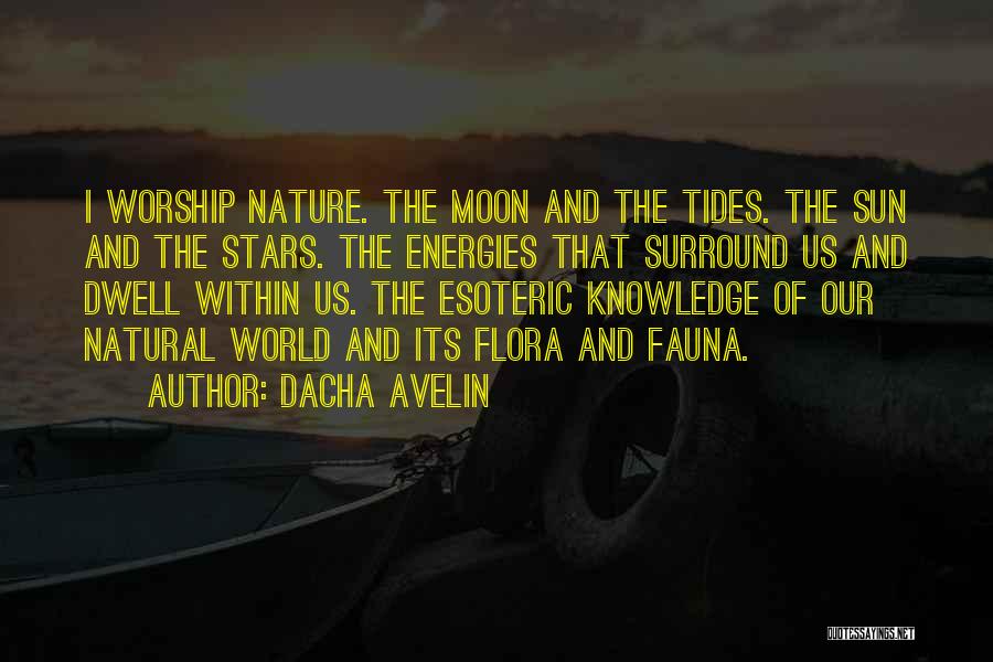 Dacha Avelin Quotes 1187700