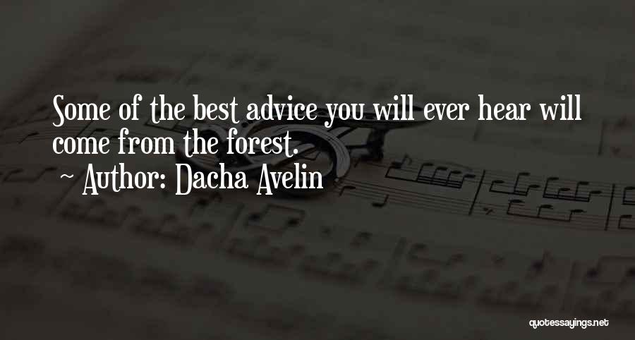 Dacha Avelin Quotes 379455