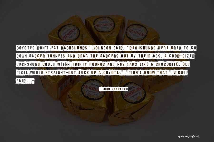 Dachshunds Quotes By John Sandford Dachshunds Quotes By John Sandford