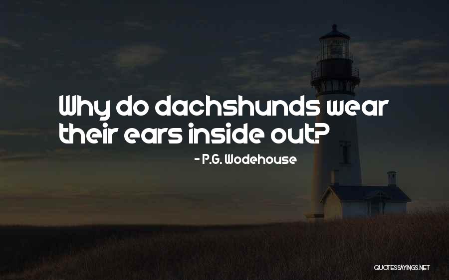 Dachshunds Quotes By P.G. Wodehouse Dachshunds Quotes By P.G. Wodehouse
