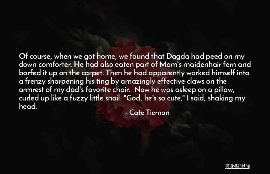 Dad And God Quotes By Cate Tiernan Dad And God Quotes By Cate Tiernan