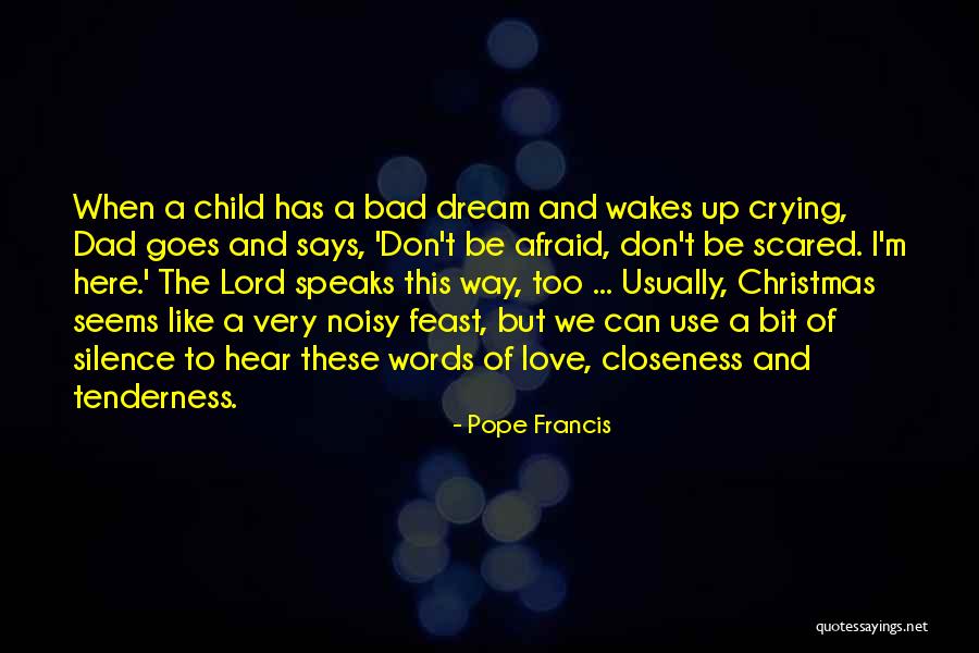 Dad For Christmas Quotes By Pope Francis