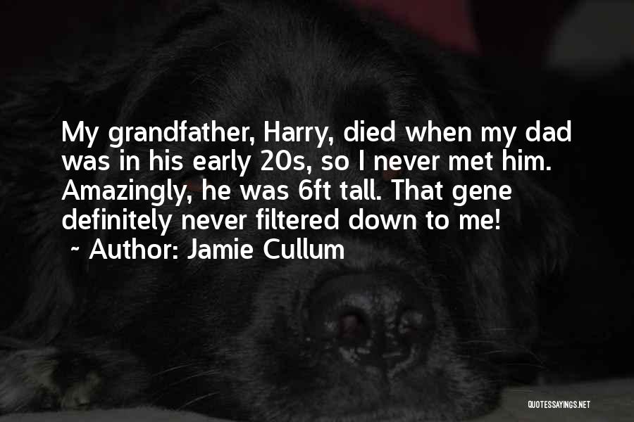 Dad Has Died Quotes By Jamie Cullum