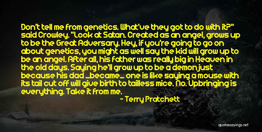 Dad Vs Father Quotes By Terry Pratchett