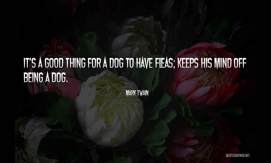 Daddy Chores Quotes By Mark Twain Daddy Chores Quotes By Mark Twain