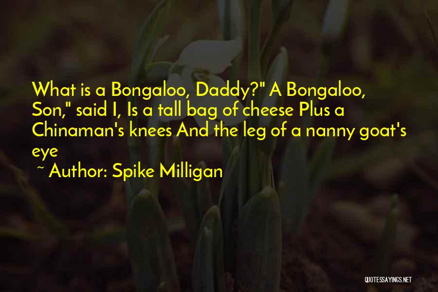 Daddy N Son Quotes By Spike Milligan