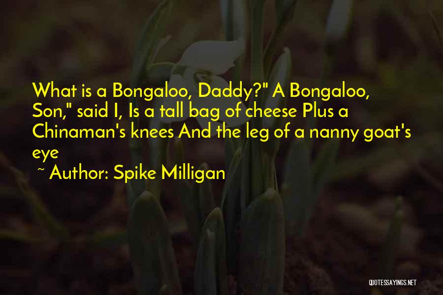 Daddy Quotes By Spike Milligan