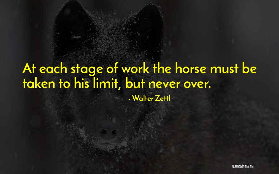 Dadlanie Quotes By Walter Zettl Dadlanie Quotes By Walter Zettl
