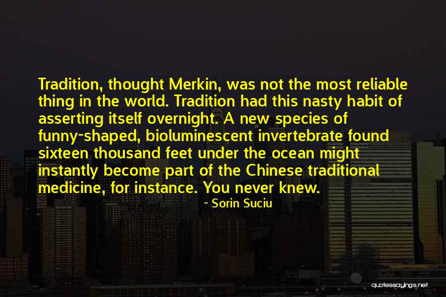 Daelemans Haarden Quotes By Sorin Suciu Daelemans Haarden Quotes By Sorin Suciu