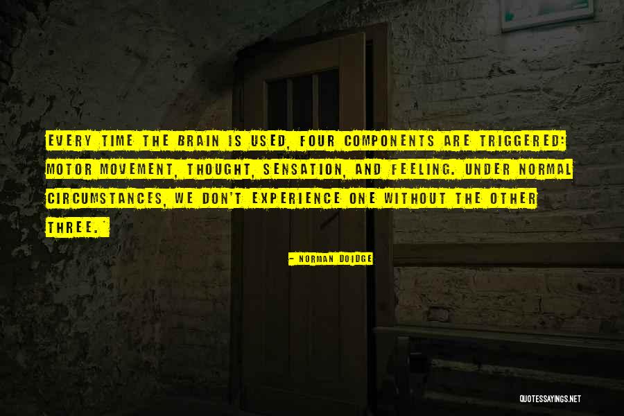 Daelyn Einhorn Quotes By Norman Doidge Daelyn Einhorn Quotes By Norman Doidge