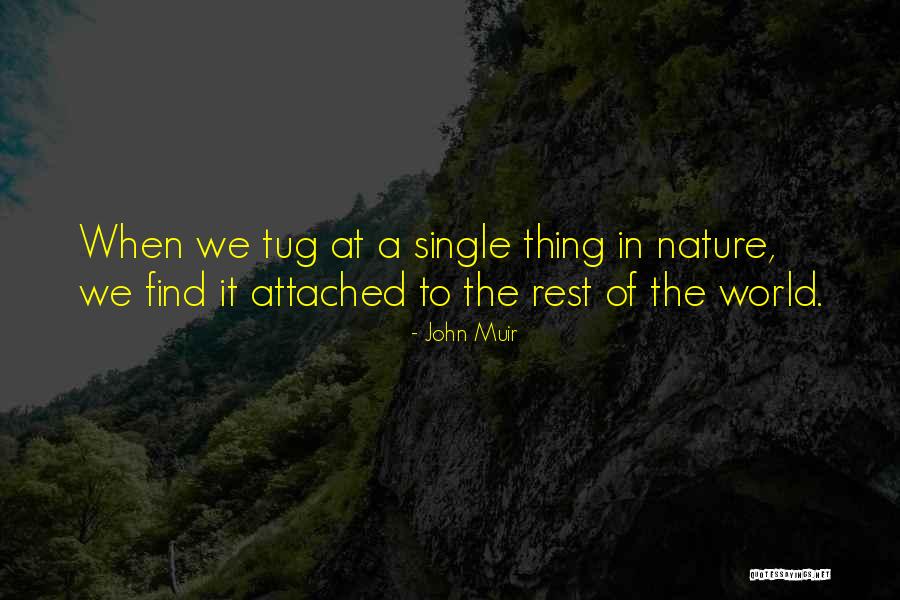 Dafydd Y Quotes By John Muir