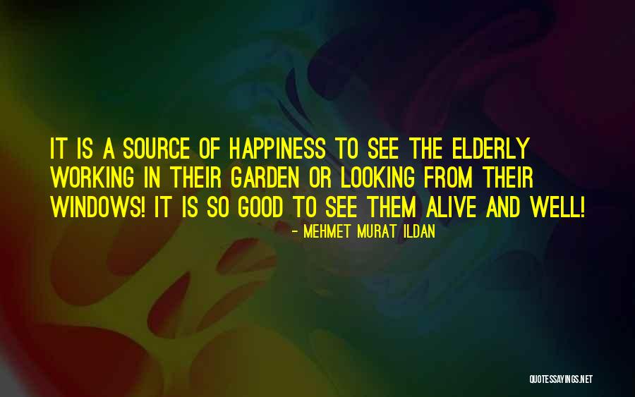 Dag Ly Ellent Te Quotes By Mehmet Murat Ildan Dag Ly Ellent Te Quotes By Mehmet Murat Ildan