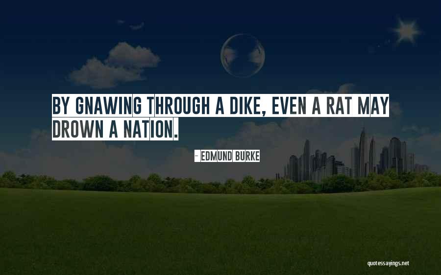 Dagbreek Stellenbosch Quotes By Edmund Burke Dagbreek Stellenbosch Quotes By Edmund Burke