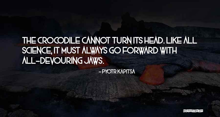 Dagelijkse Standaard Quotes By Pyotr Kapitsa Dagelijkse Standaard Quotes By Pyotr Kapitsa