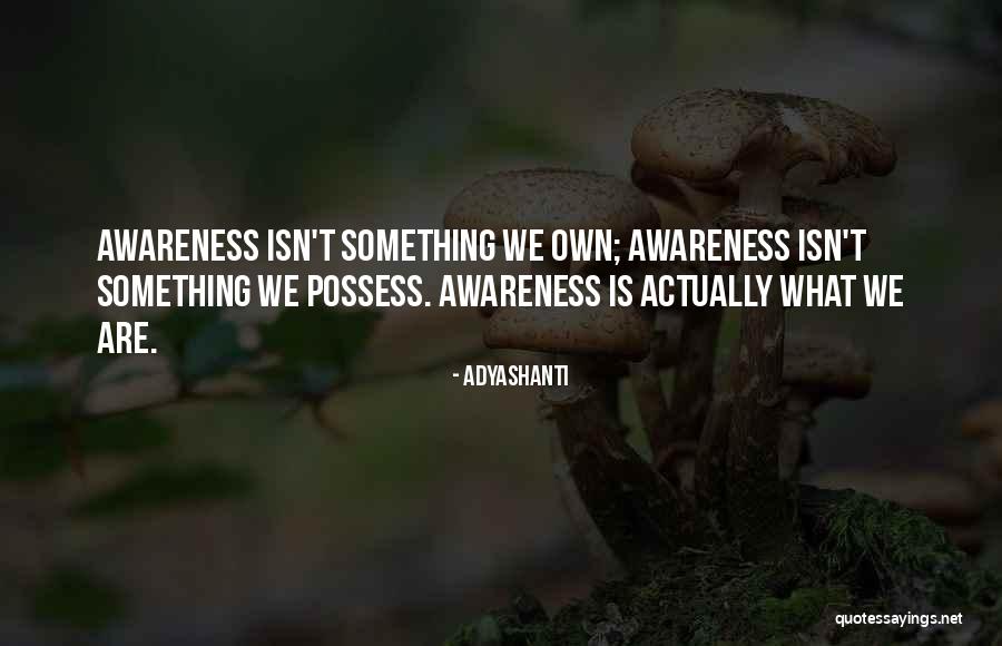 Daglichtlampen Quotes By Adyashanti Daglichtlampen Quotes By Adyashanti