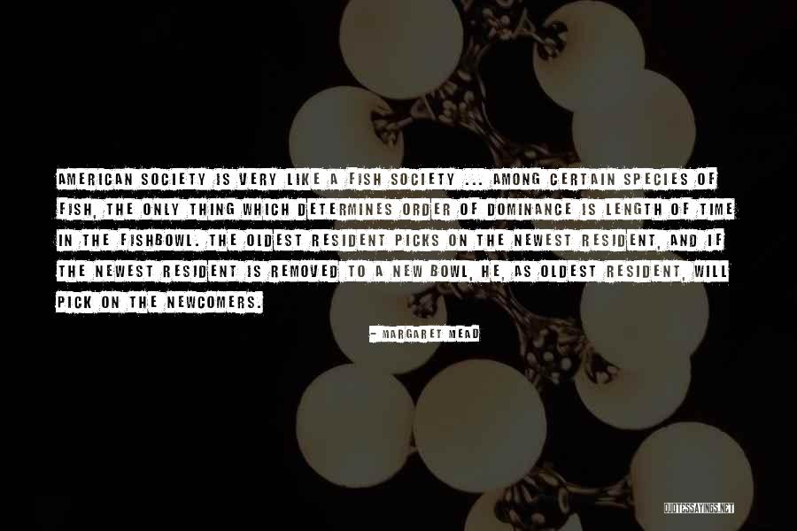 Dagvadorj Sumo Quotes By Margaret Mead Dagvadorj Sumo Quotes By Margaret Mead