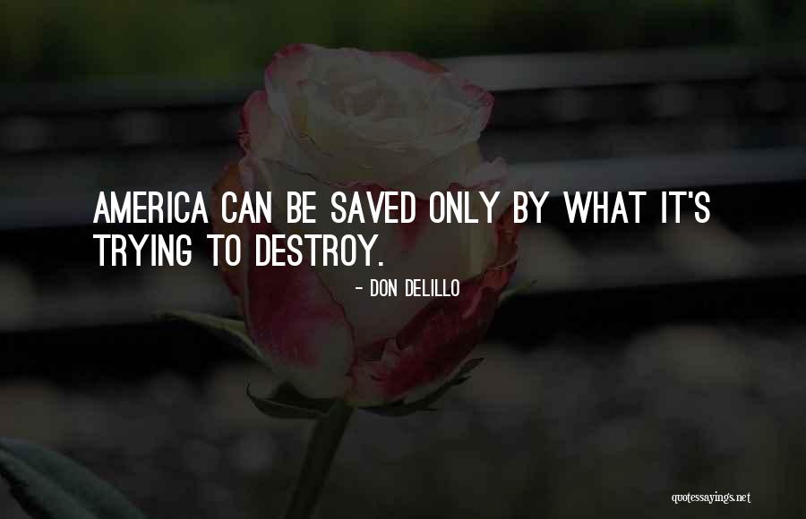 Dahiana Castillo Quotes By Don DeLillo Dahiana Castillo Quotes By Don DeLillo